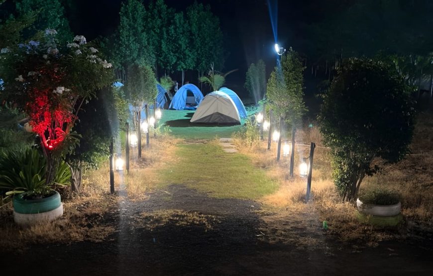 New year night camping in Lost in village resort