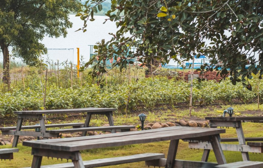 Lakeside Night Camping in Ananthagiri Hills