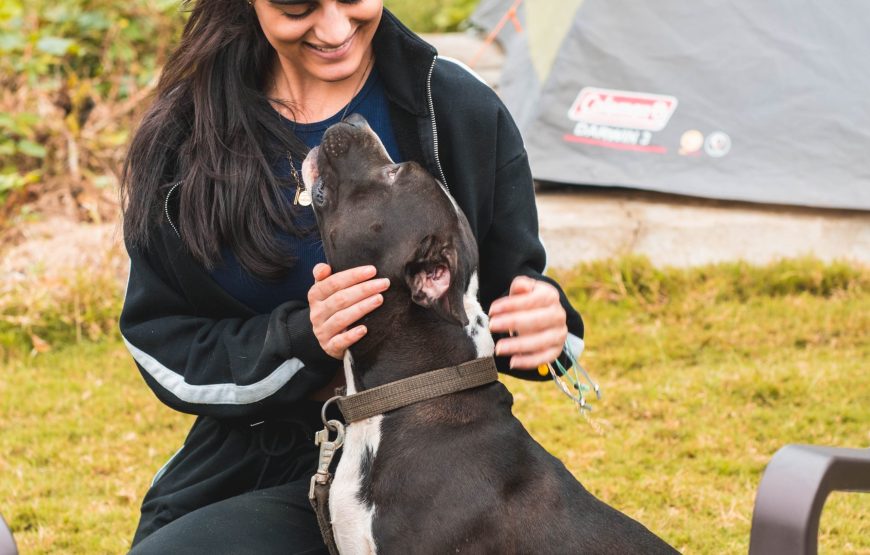 Lakeside Night Camping in Ananthagiri Hills