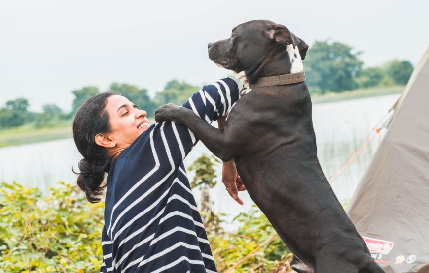 Lakeside Night Camping in Ananthagiri Hills