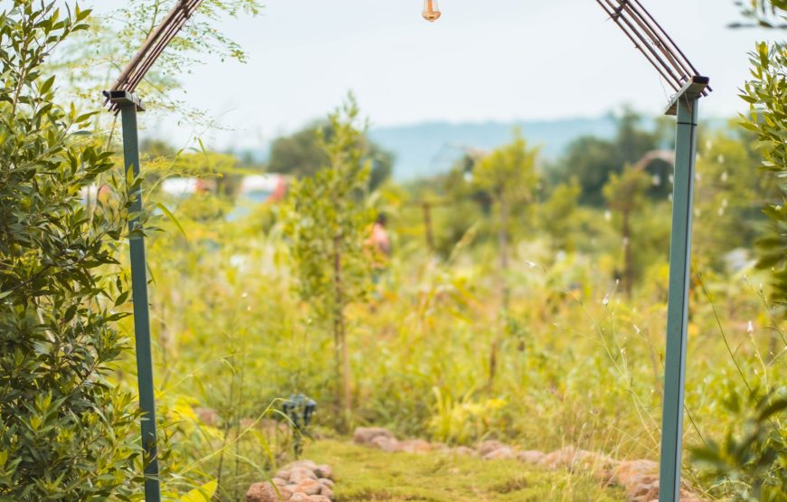 Lakeside Night Camping in Ananthagiri Hills