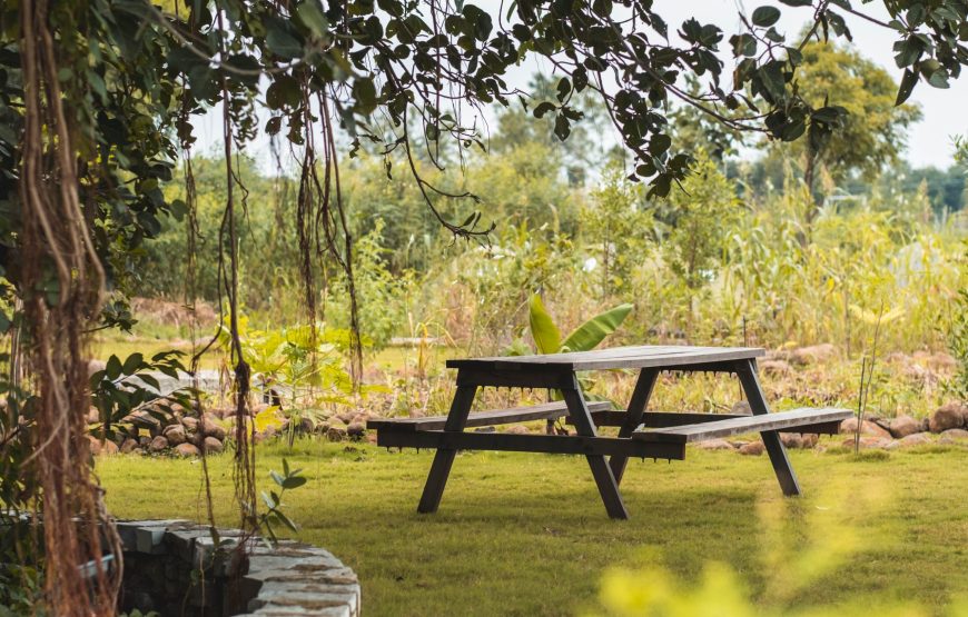 Lakeside Night Camping in Ananthagiri Hills