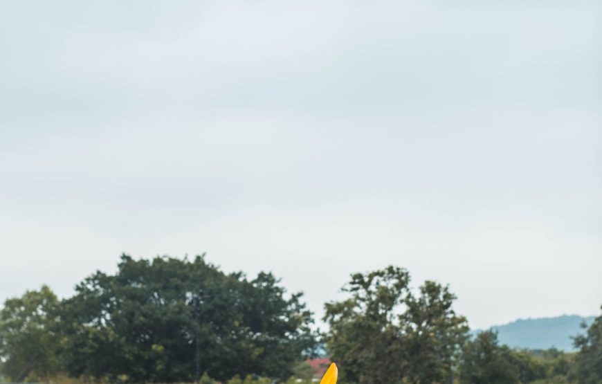 Lakeside Night Camping in Ananthagiri Hills