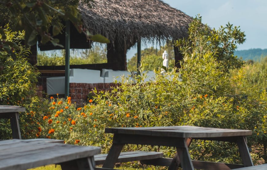 Lakeside Night Camping in Ananthagiri Hills