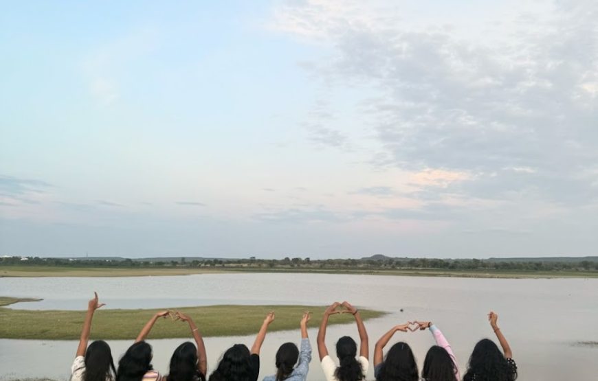 Moonlight Lakeview Camping