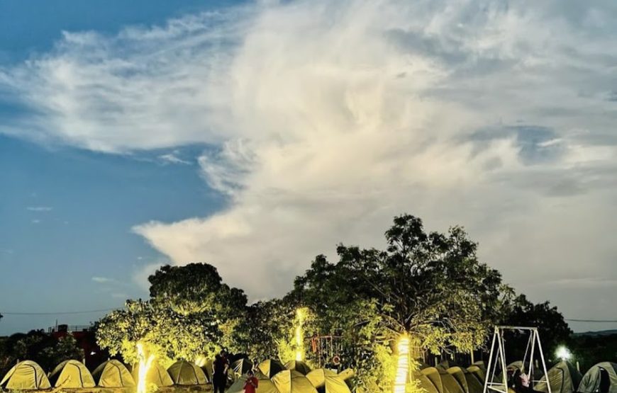 Moonlight Lakeview Camping