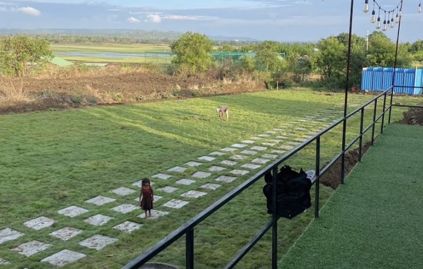 Moonlight Lakeview Camping