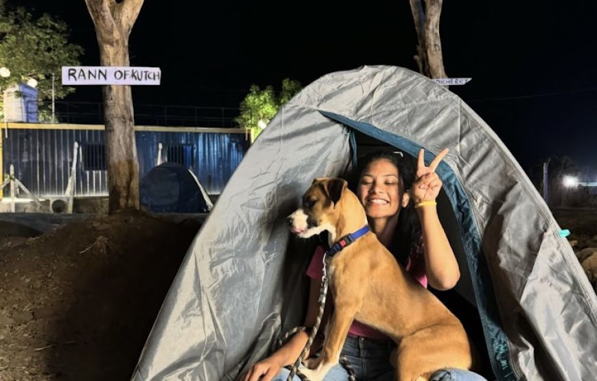 Moonlight Lakeview Camping