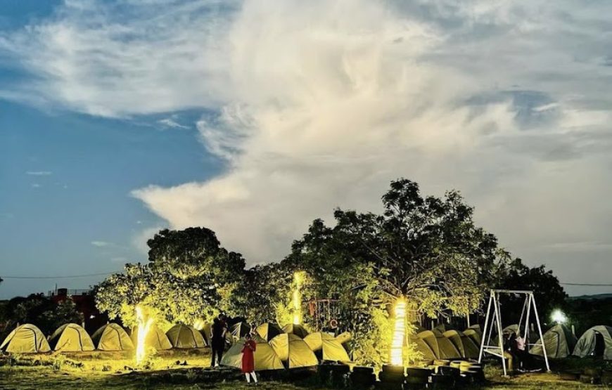 Moonlight Lakeview Camping